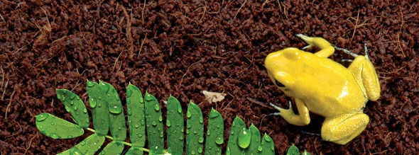 Exo Terra Plantation Soil 650 g